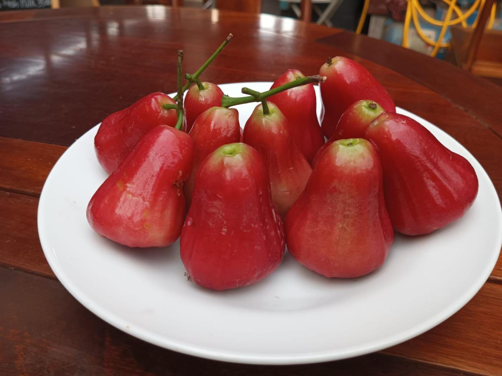 Song Lao Guesthouse Thakek Kültér fotó